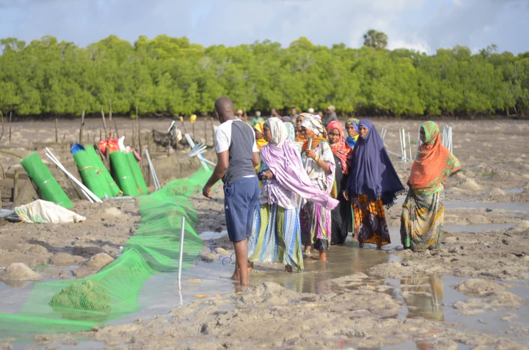 Sustainable Fisheries