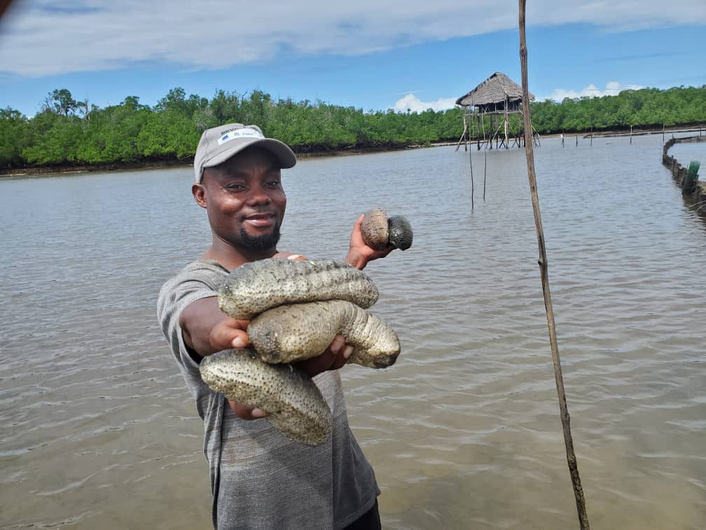 Man holding sea cucumbers
