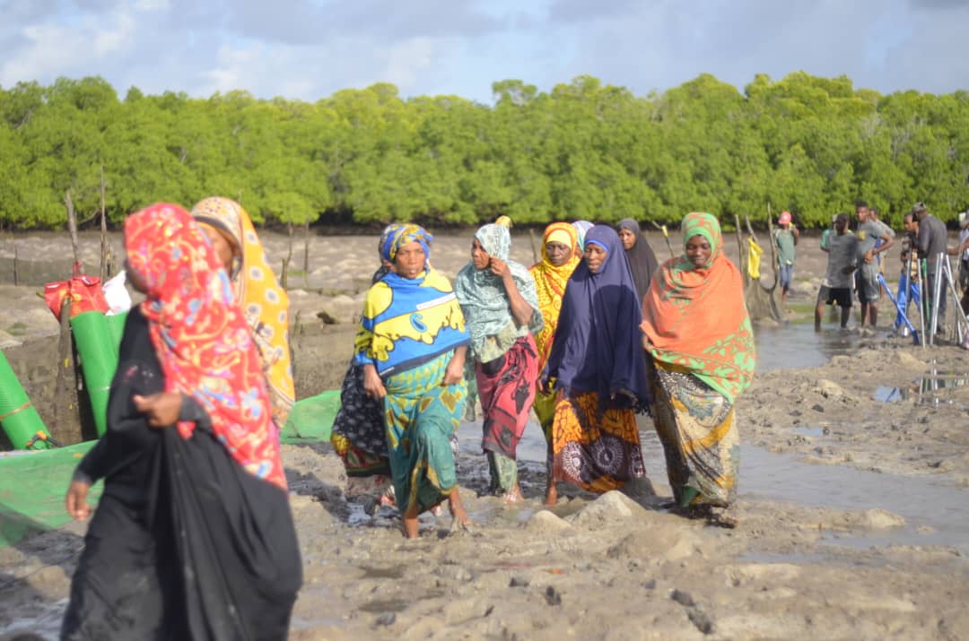 Women working in mudflats